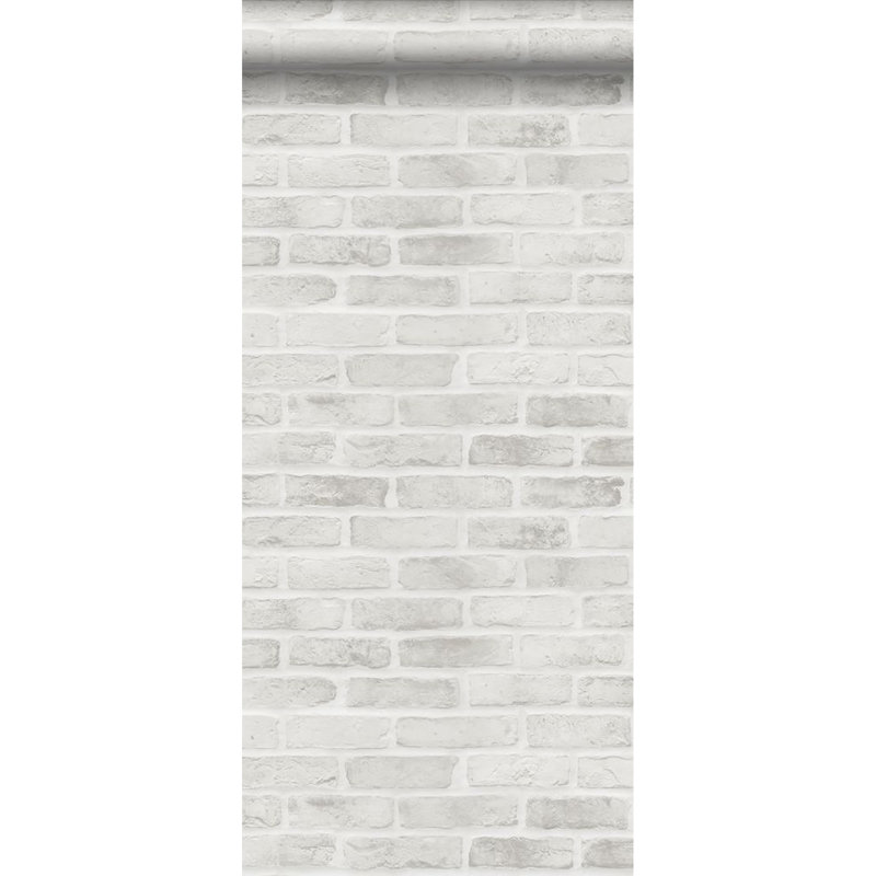 Rouleau de papier peint L 33 pi x l 20,5 po Nerys, Gris