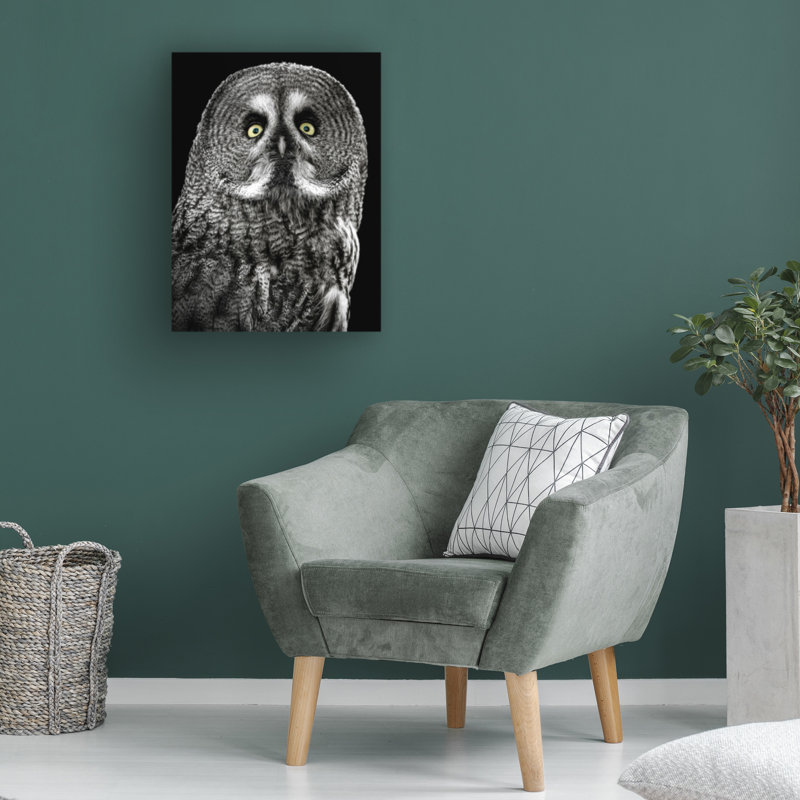 Art sur toile Lee Kershaw Owl Stare, H 19 po x l 14 po