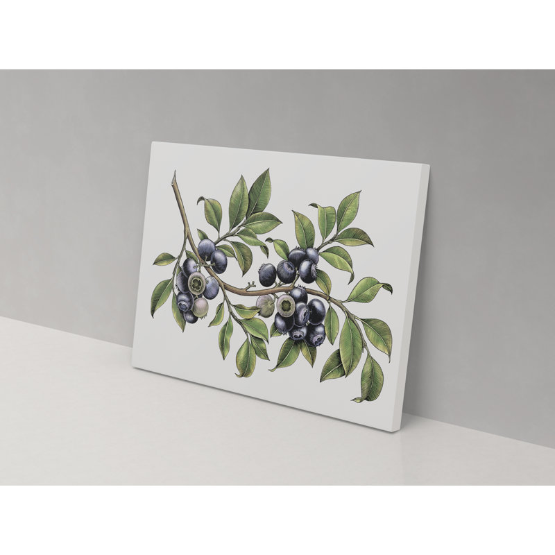 Blueberry Branches - Wrapped Canvas Print, 67cm H x 102cm W x 4cm D