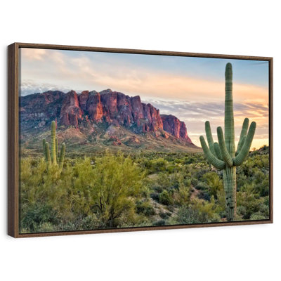 Cacti View II