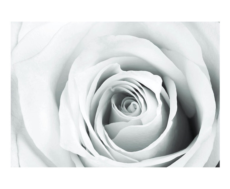 Eryan Roll, 110.2" L x 154.3" W