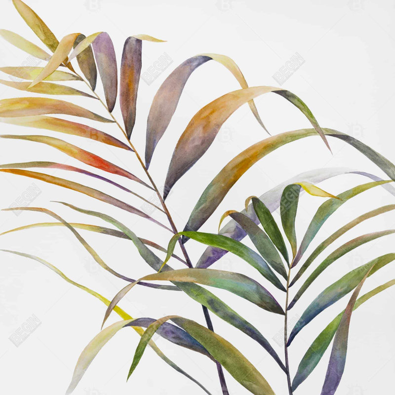 " Watercolor Tropical Palm Leaves "