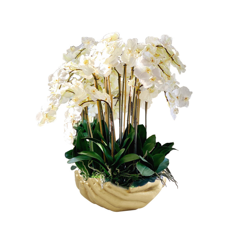 Orchid Arrangement in Vase, Gold