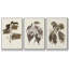 Minim I - Ensemble de 3 reproductions encadrées sur toile-97708723-97708725