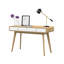 Justine Writing Desk-20389182