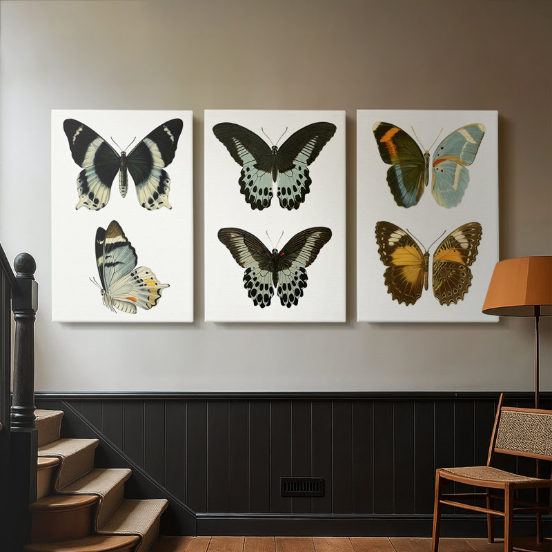 Papillons bleus antiques I - Toile tendue avec châssis sur mesure - 3 pièces, H 18 po x l 36 po