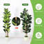 Arrangement