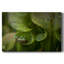 Toile tendue Arboreal Refuge-Gallery-832907217