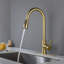 Robinet de cuisine avec douchette extractible-62508028