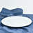 Chesterland 12'' Porcelain China Dinner Plate