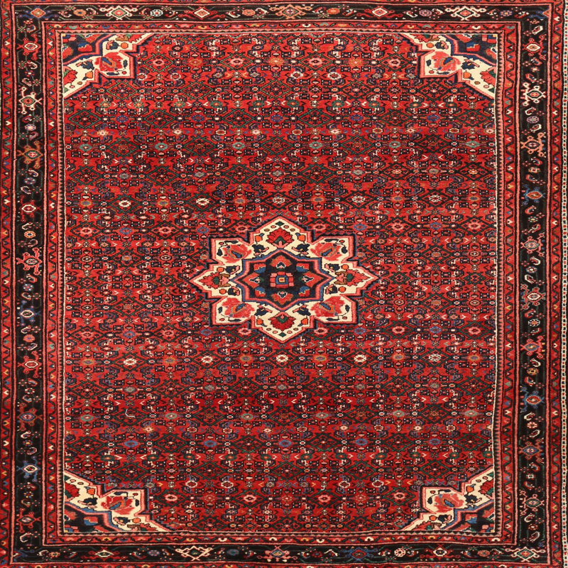 Tapis à motif oriental rouge / noir, Carré 8 pi