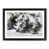 Black Framed selected