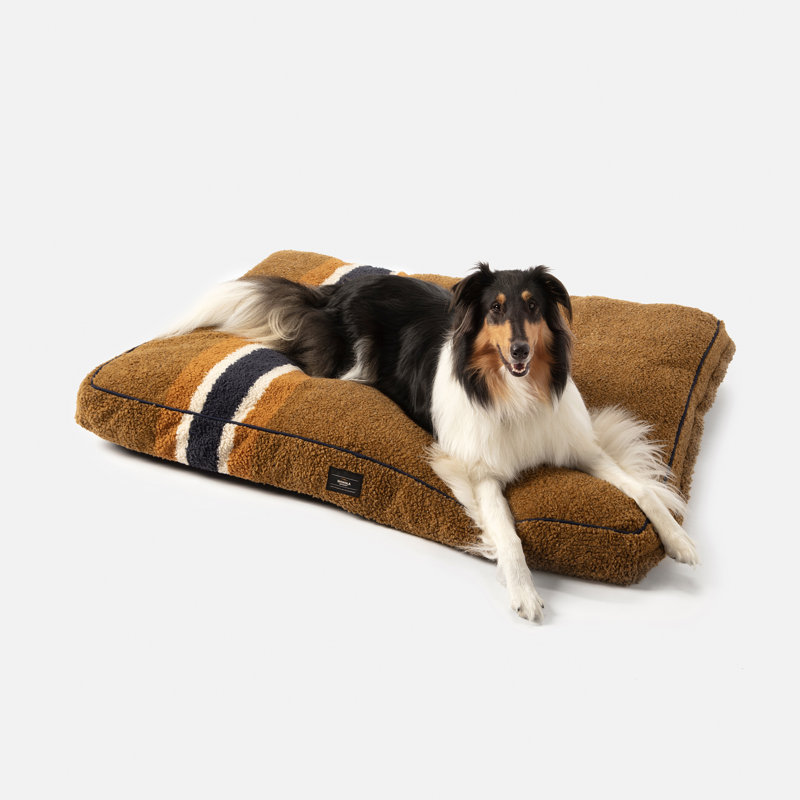 Napper Pillow Dog Bed, Small (28" W x 20" D x 5" H), Oatmeal