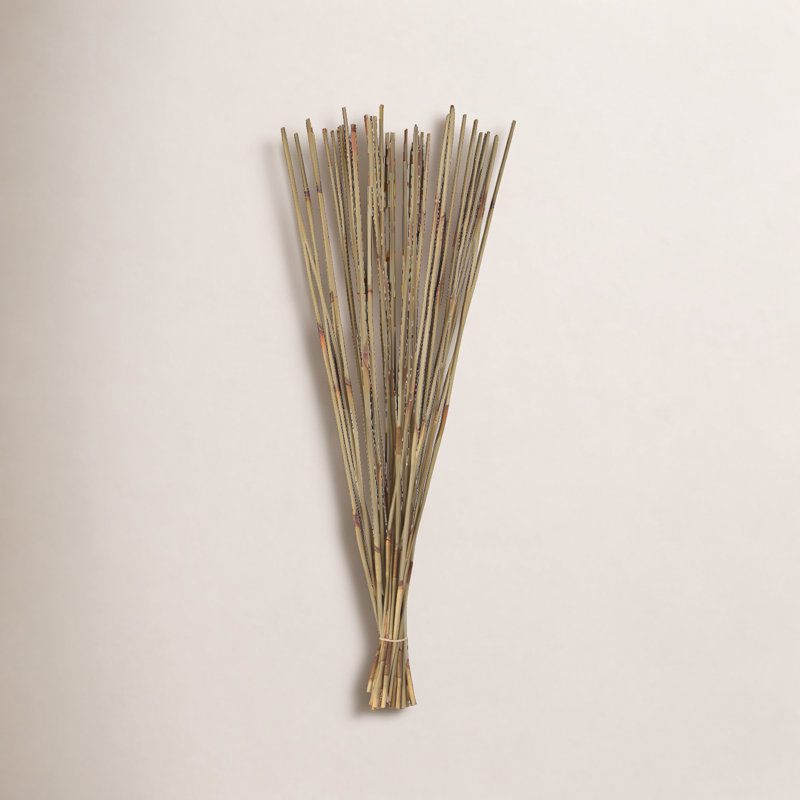 Muriel 40" Elephant Reed, Dried, Natural