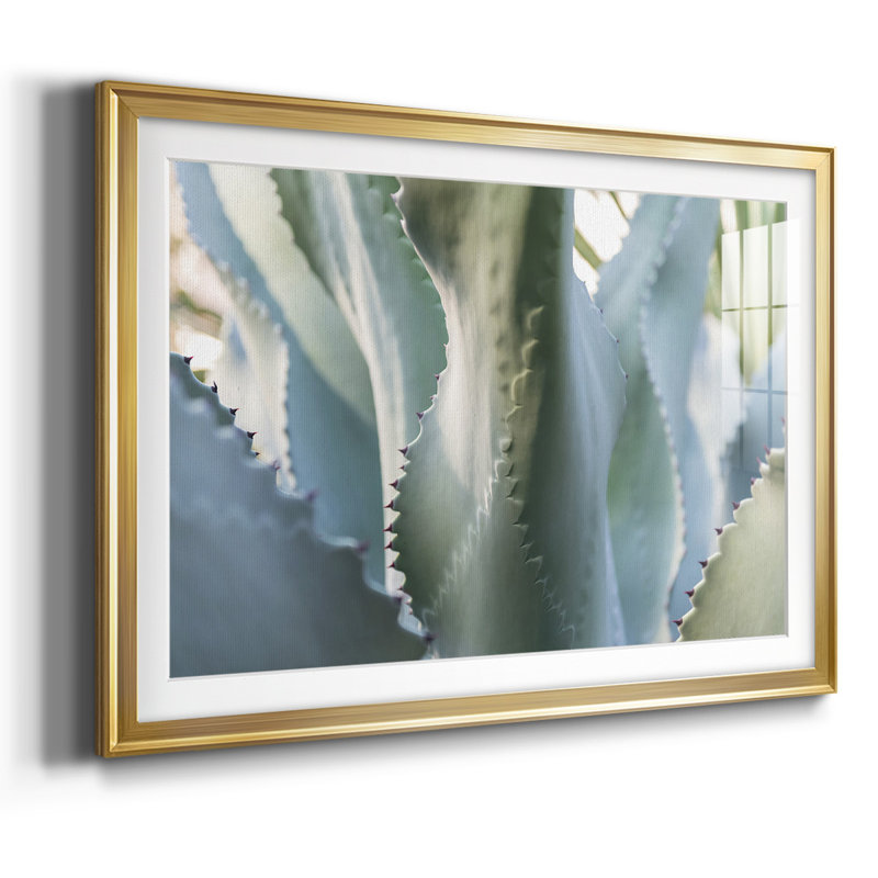 Blue Agave II, impression sur papier encadrée, H 30 po x l 44 po x P 1,5 po, Or