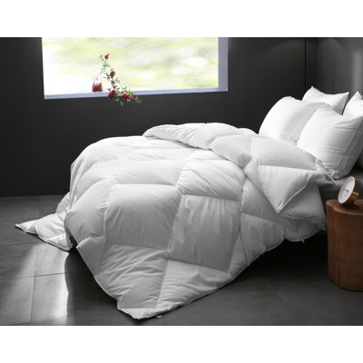 Babb 750 FP All Seasons Feathers Down Comforter, Ultra-Soft Egyptian-Quality Cotton Fabric, White