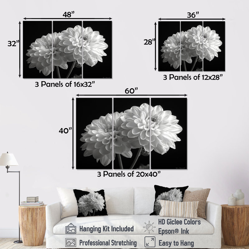 Monochromes blanc noir, «Mums Botanical Beauty I», ensemble de reproductions d'art mural, H 28 po x l 36 po x P 1 po