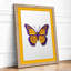 Butterfly Study Botanical - Framed Print-1086836348-1086836346