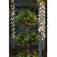 50 Ft Connectable Ribbon Wrap Light With Silver Wire-388776748