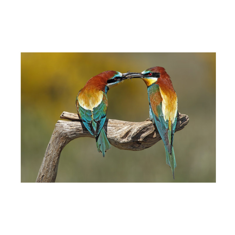 Nicolas Merino True Love Canvas Art, H 12 po x l 19 po