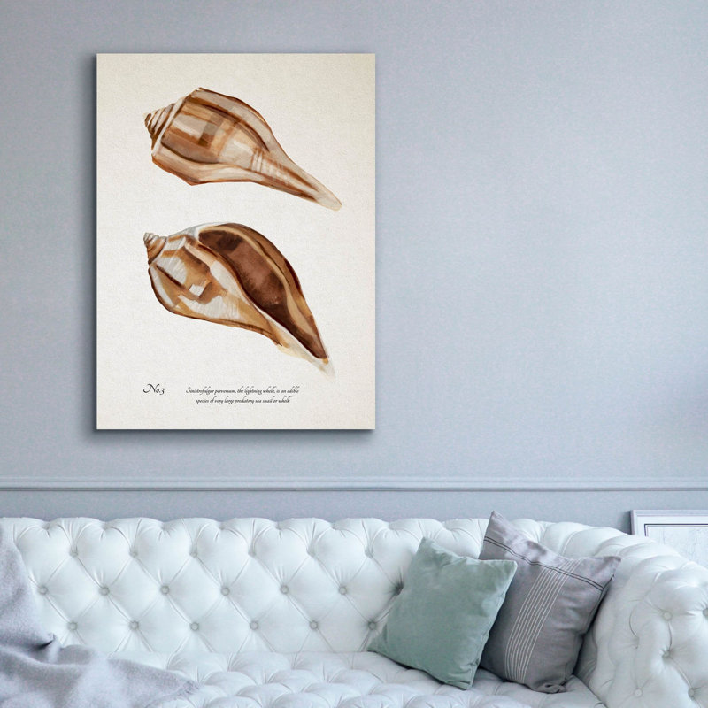  «Sienna Shell Collector 3» par Annie Warren, art mural sur toile, 40 po x 54 po, H 54 po x l 40 po