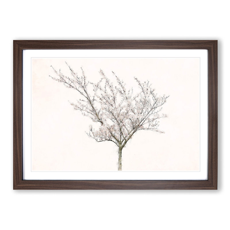 A Pink Cherry Blossom Tree - Picture Frame Painting Print, 62cm H x 87cm W x 2cm D, Walnut
