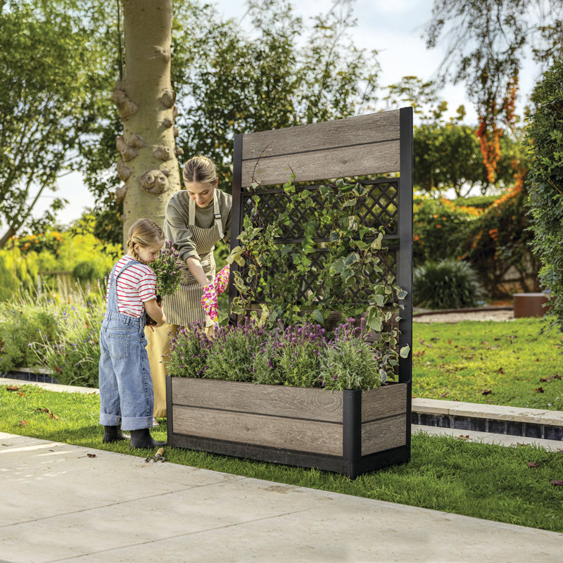 Keter Tulip Screen Planter - Ashwood Brown