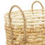 Ensemble de 3 paniers en ruppie maritime