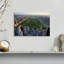 Central Park sur toile-1061070196