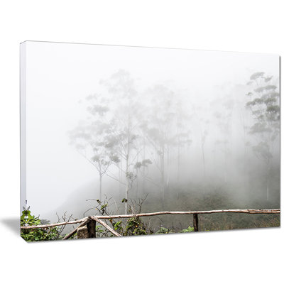 " Fogs On Western Ghats Hills "