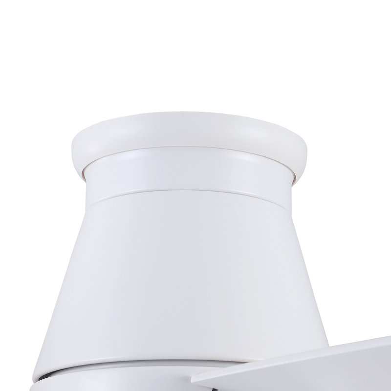 Ventilateurs de plafond 48 po