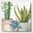 Toile tendue