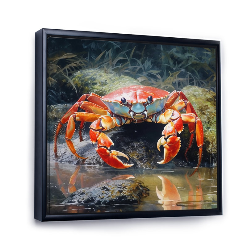Crab Beachcombers III sur impression sur toile, H 36 po x l 36 po x P 1,5 po, Cadre flottant noir