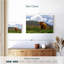 Vache écossaise Highland-107705995