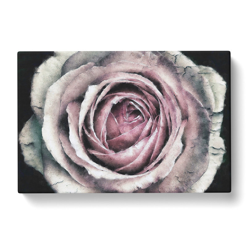 A Pale Pink Rose Painting - Wrapped Canvas, 40cm H x 60cm W x 3cm D