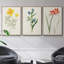 Fleurs des saisons IV, reproduction sur toile 3 pièces-91891298-91891299
