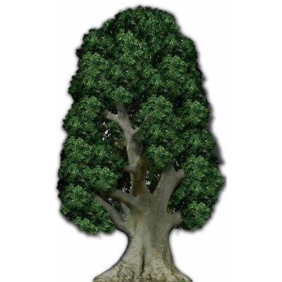 Accroche en carton tree
