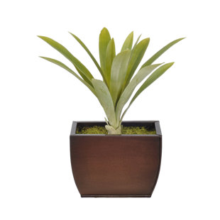 14'' Faux Succulent Plant in Metal Vase