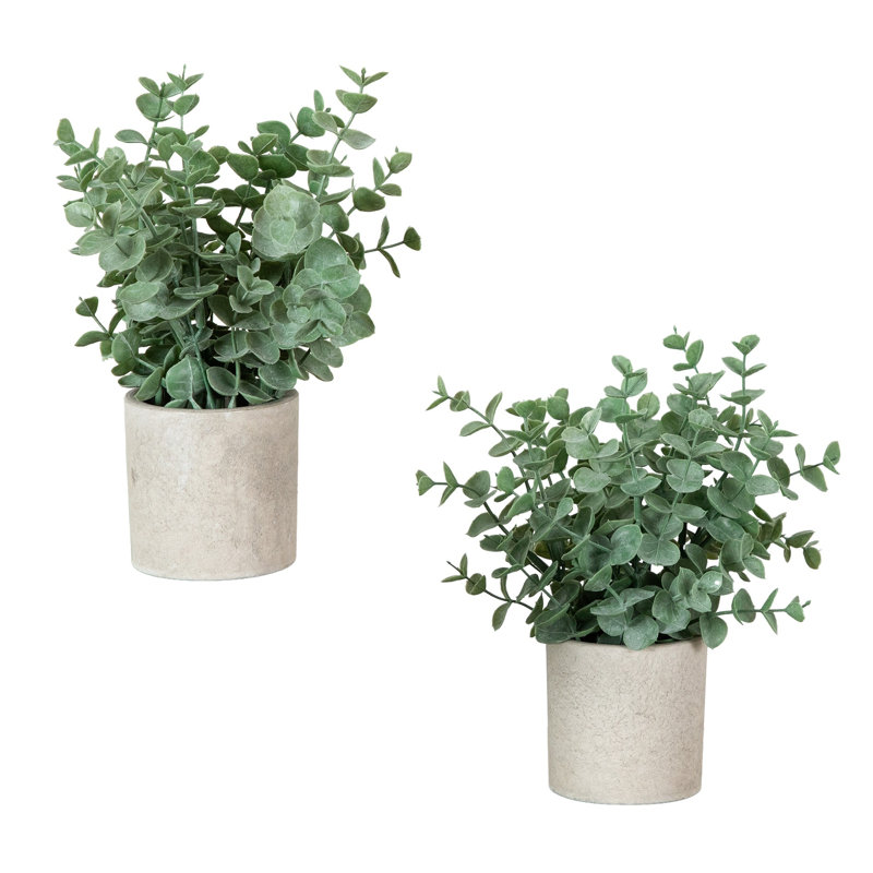 Artificial Baby Blue Eucalyptus in Decorative Planter
