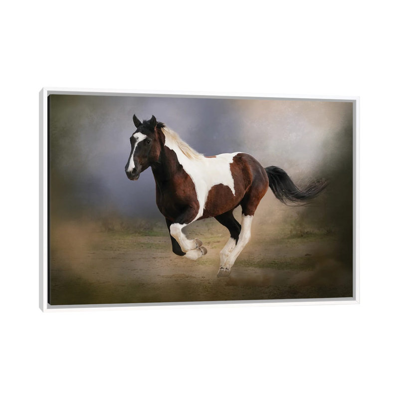 A Run Through The Mist by Rhonda Thompson - Floater Frame Print on Canvas