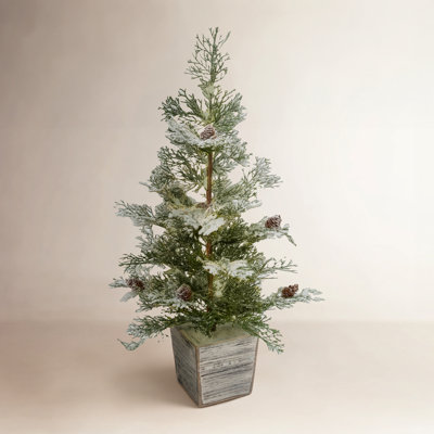 Frosted 2.2' Pre-Lit Pine Christmas Tree