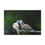 Wall Art on Canvas-222838673
