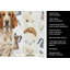 Torchon Braco Italiano-1234934551