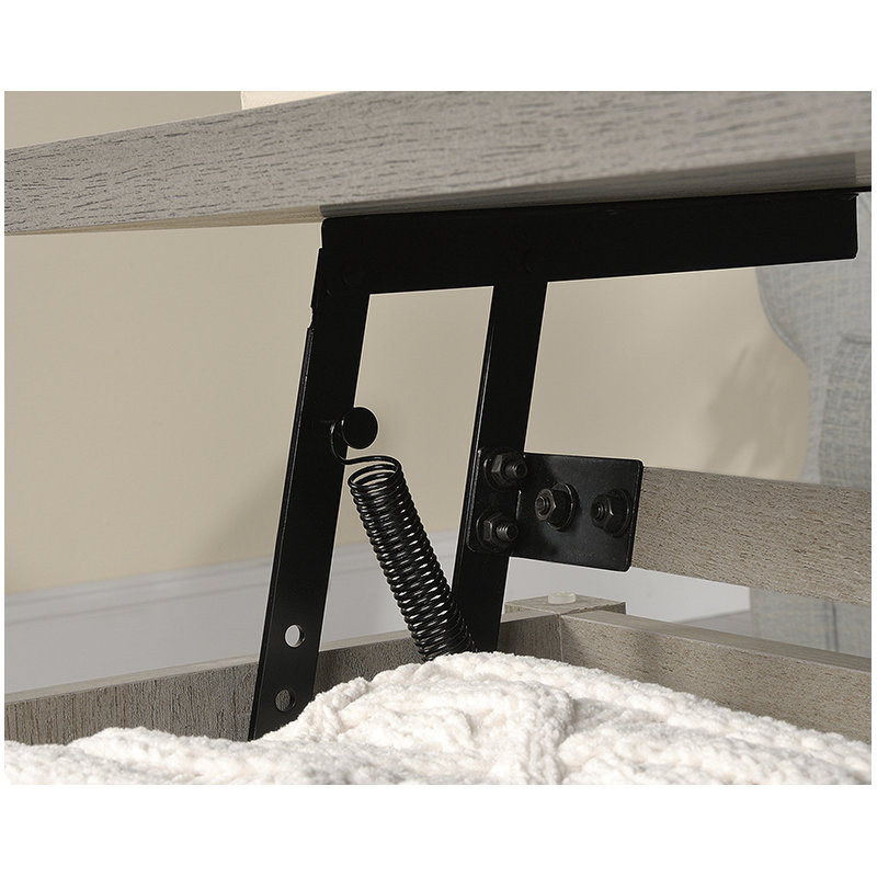 Domen Modern Lift-top Coffee Table, Gray