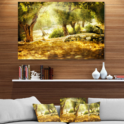 " Olive Trees "