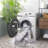 Cunegunda Performance Machine Washable Oriental Rug-195518890