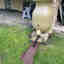 Photos des clients 1 de 1