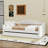 Twin Size Velvet Daybed with USB Charging Ports and Twin Trundle-548394442