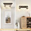 Spotlight-671439043-671439054