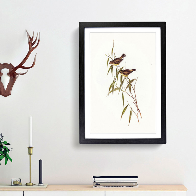 Short-Billed Tree Tit by Elizabeth Gould - Picture Frame Painting Print, 48cm H x 36cm W x 2cm D, Black Framed
